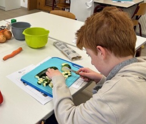 OV1 - Opleidingsvorm 1